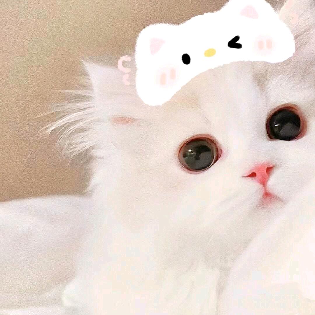 睡睡