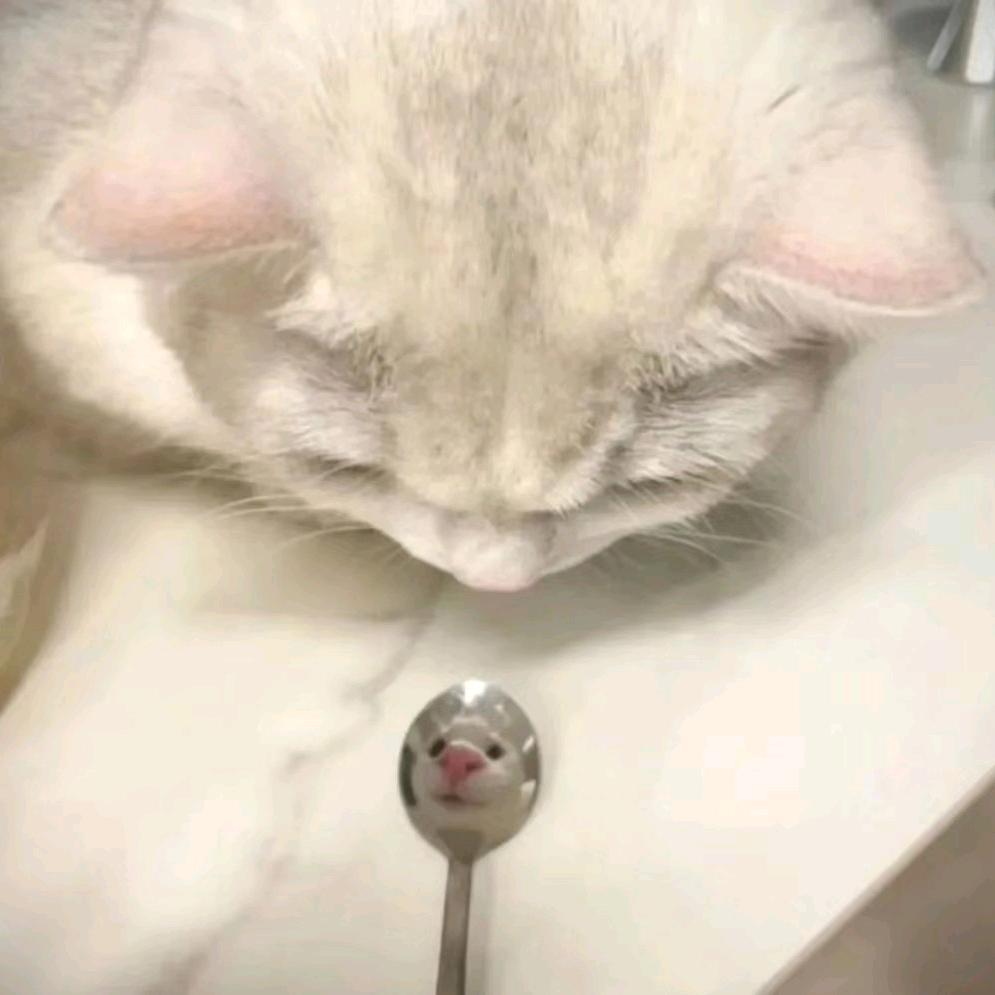 恸
