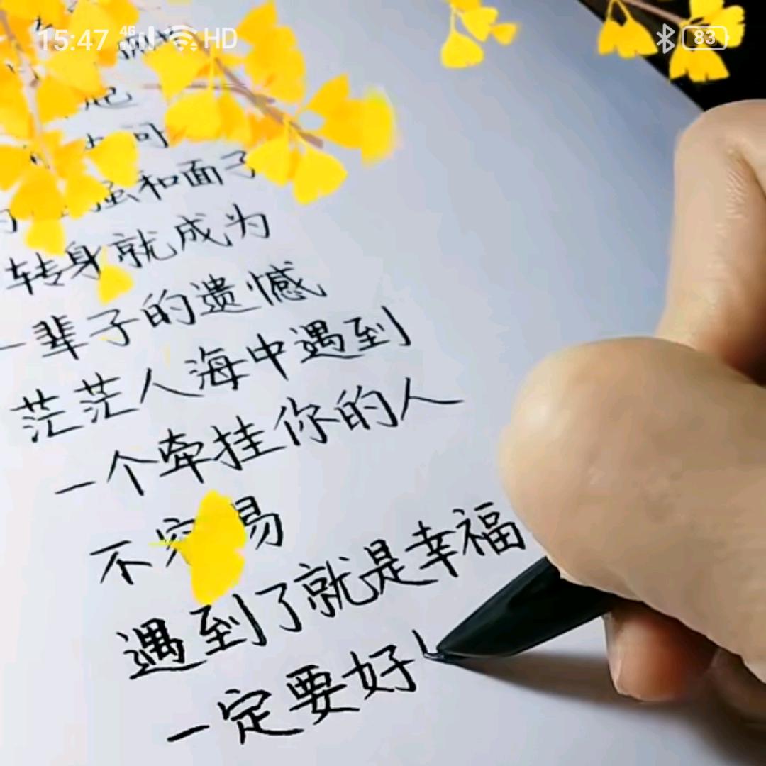 冬天的风