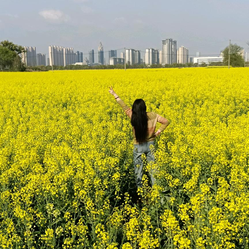 《蒋》人生太累了。