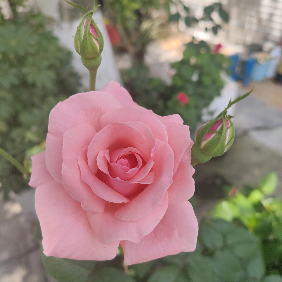 雪山上的冰峰！