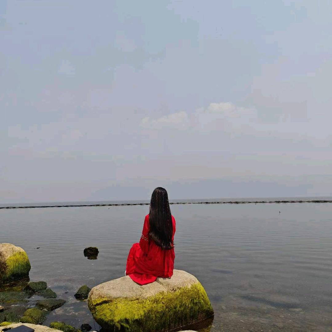 🌹萍水相逢🌸🕊️