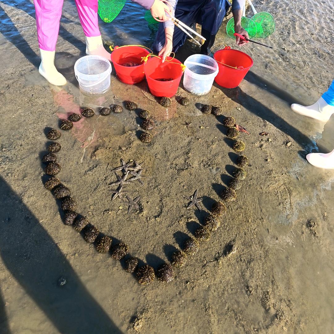 西海岸赶海俱乐部官方号