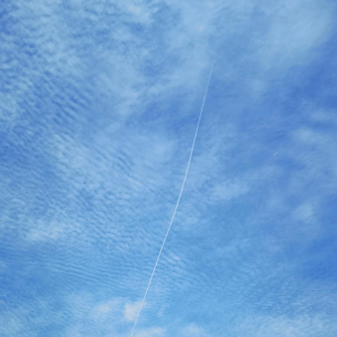 邂逅