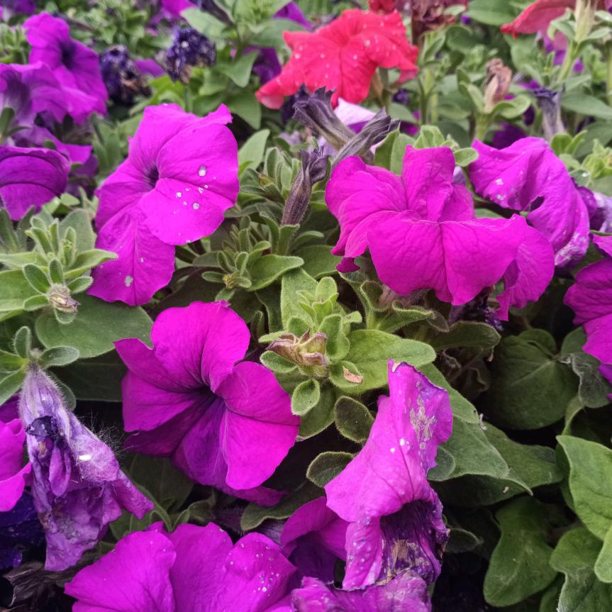 活好自己，姐姐