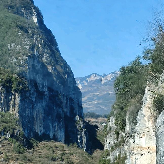 知己难寻