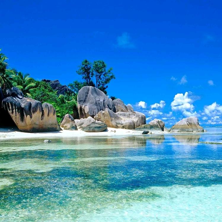 🌿xing🌿ling🌿