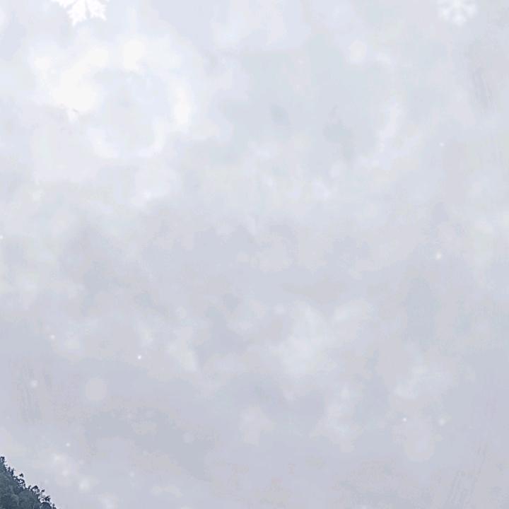 百灵鸟💥💥💥