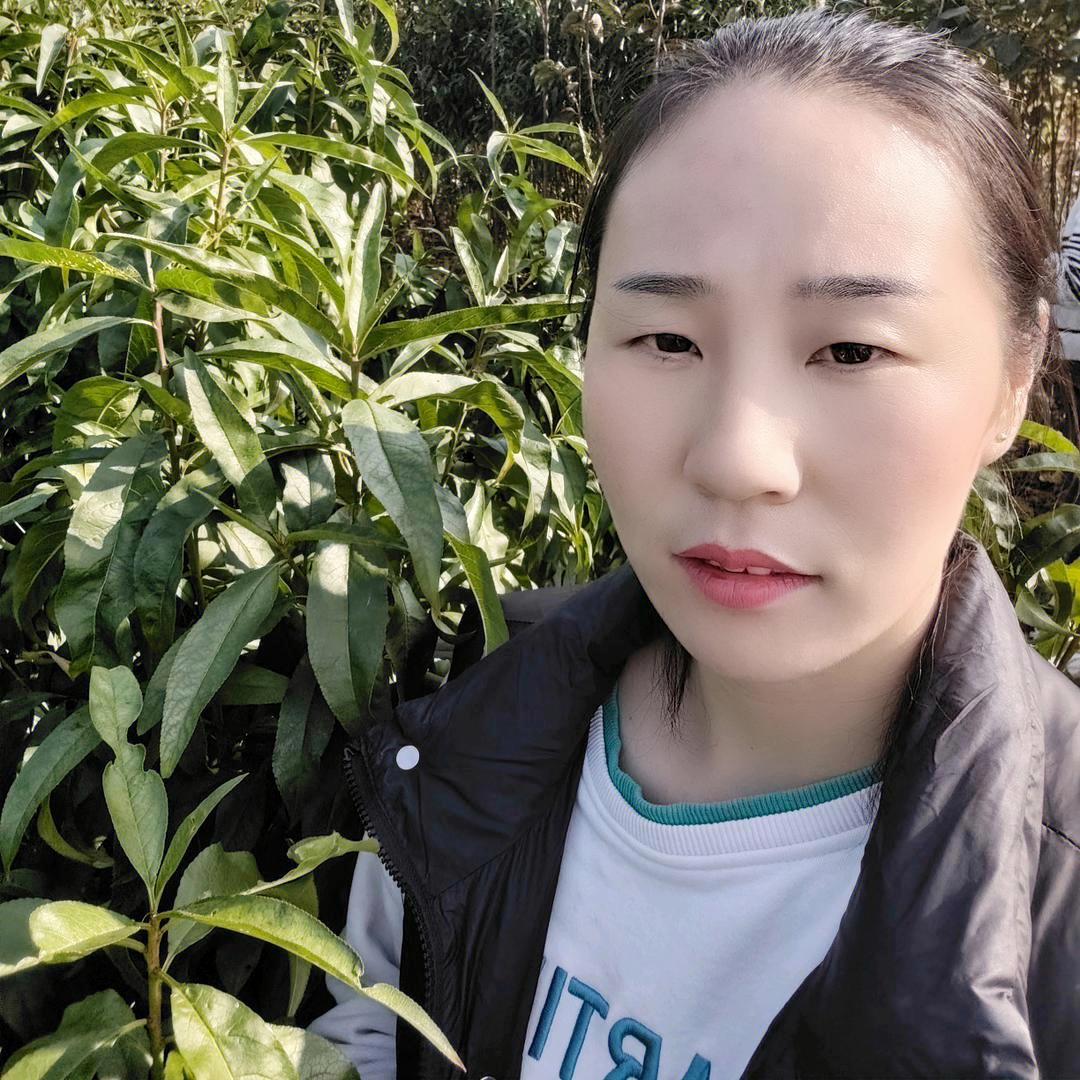 蒙阴裕果苗木-小张