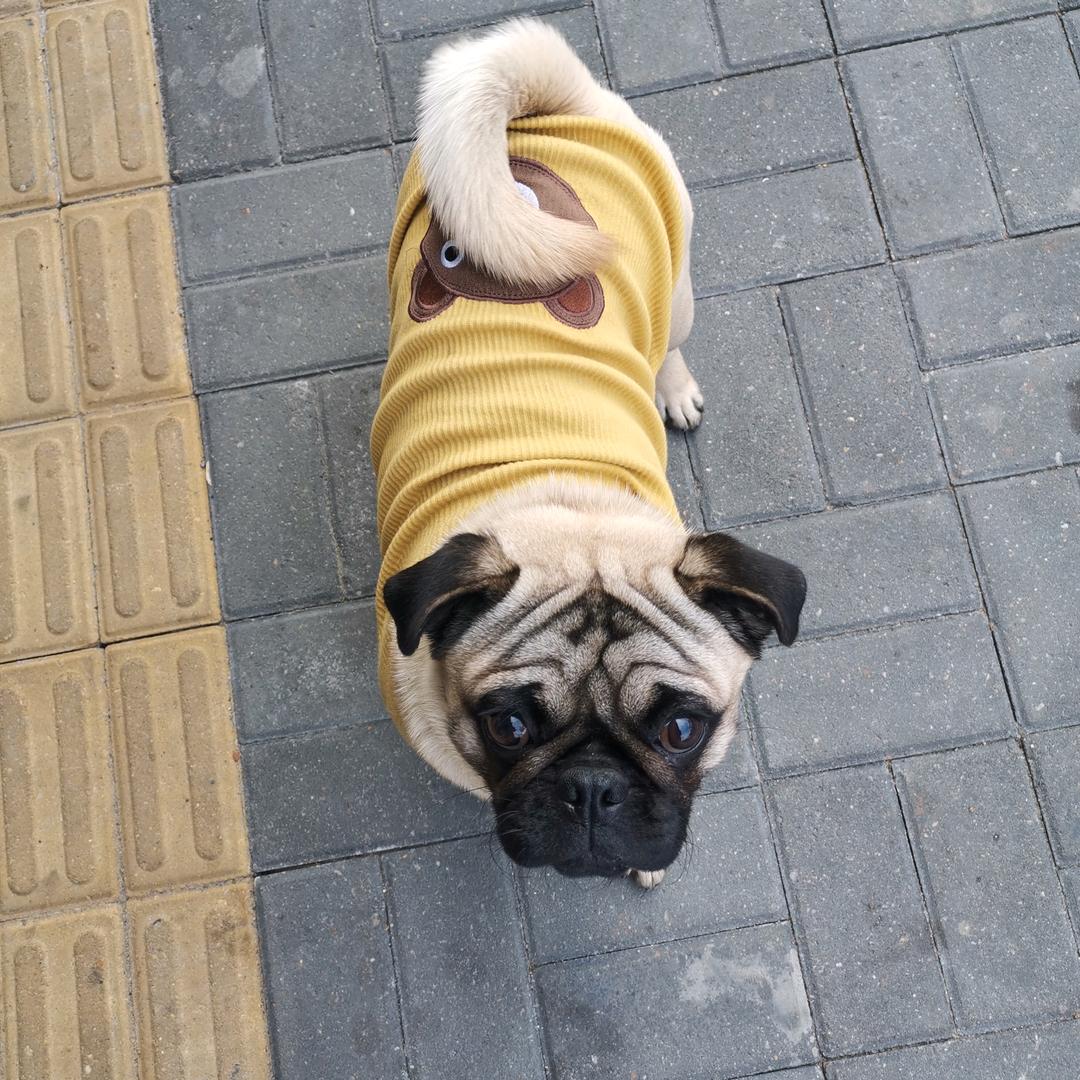 听涛吧💞颜色