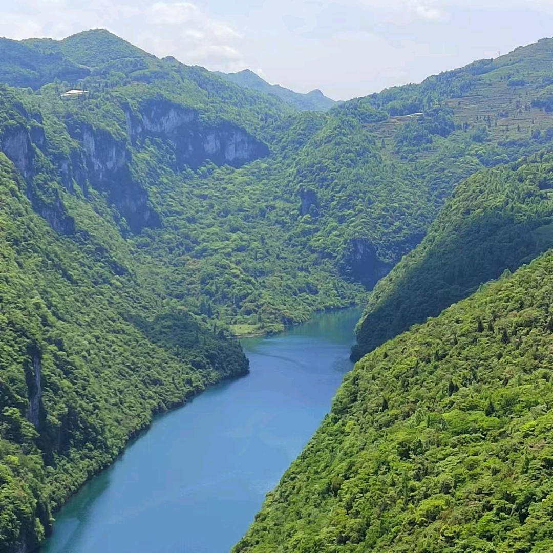 谨言甚行🇨🇳