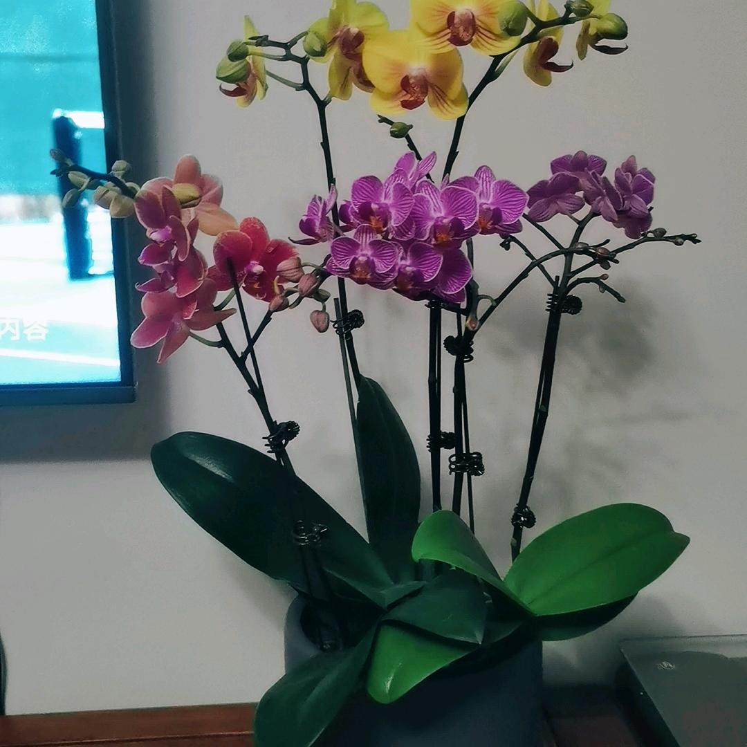 ☆一切☆♡随缘☆