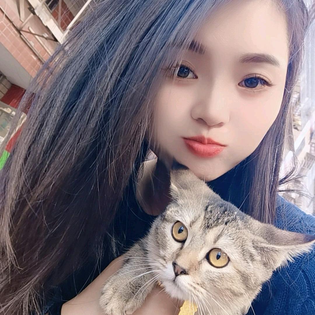 莎慧