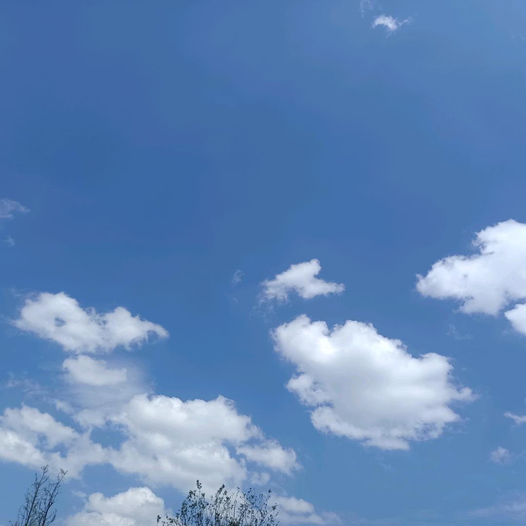 ꧁笑看风云꧂