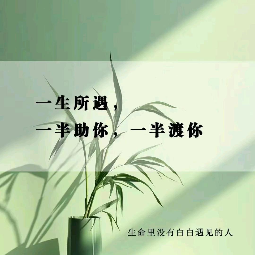 沐阳姐姐