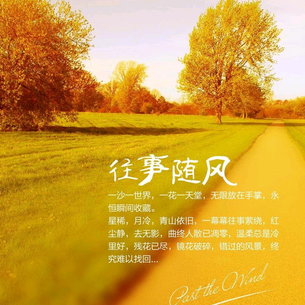 干粽叶 统叶(lucky)