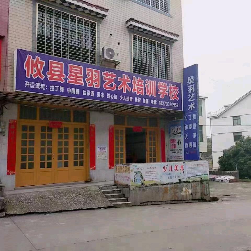 星羽培训星星⭐️老师