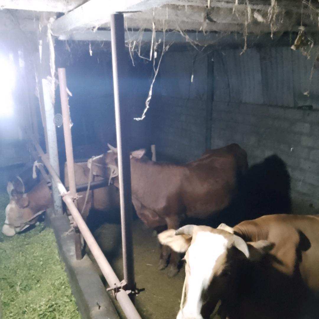 金生情缘服装加工