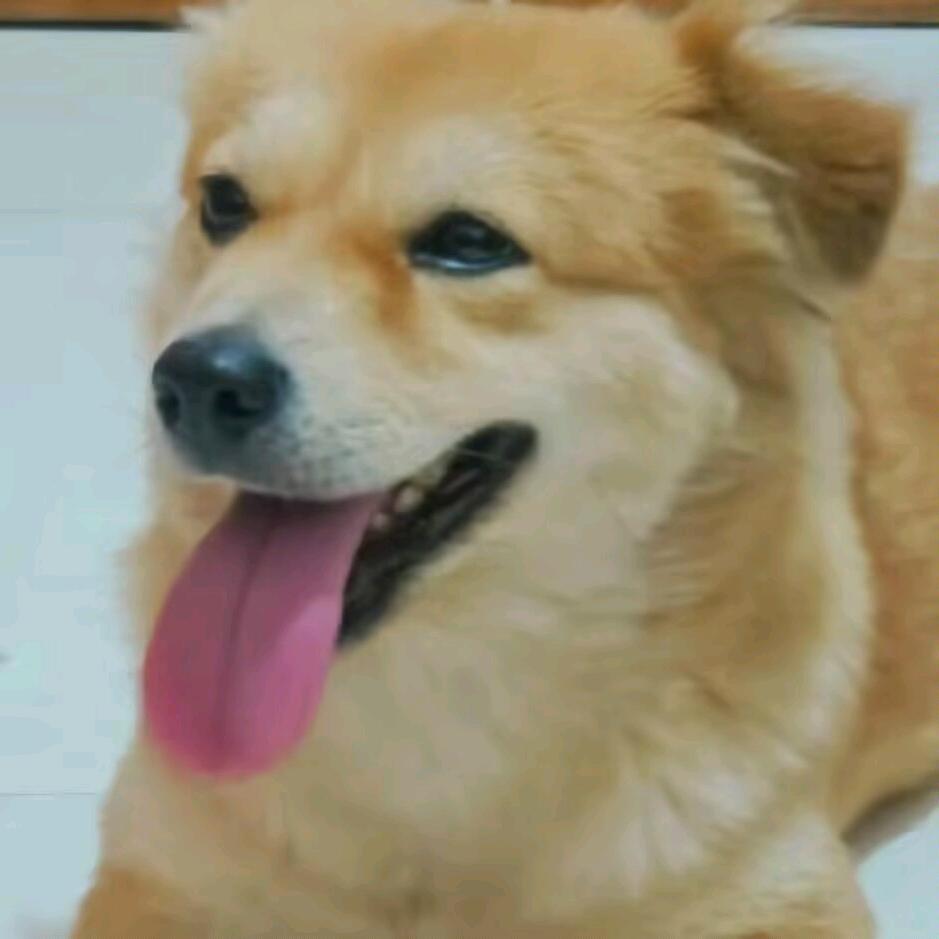 比较喜欢拷打臭鱼烂虾