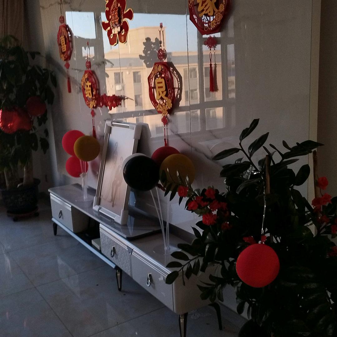 东北二姐记录生活