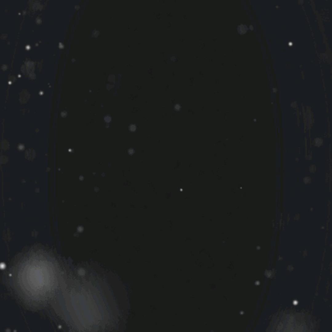 用户3343403817泽辉