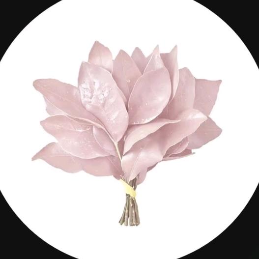 momo❥(鸟巢夺冠版）