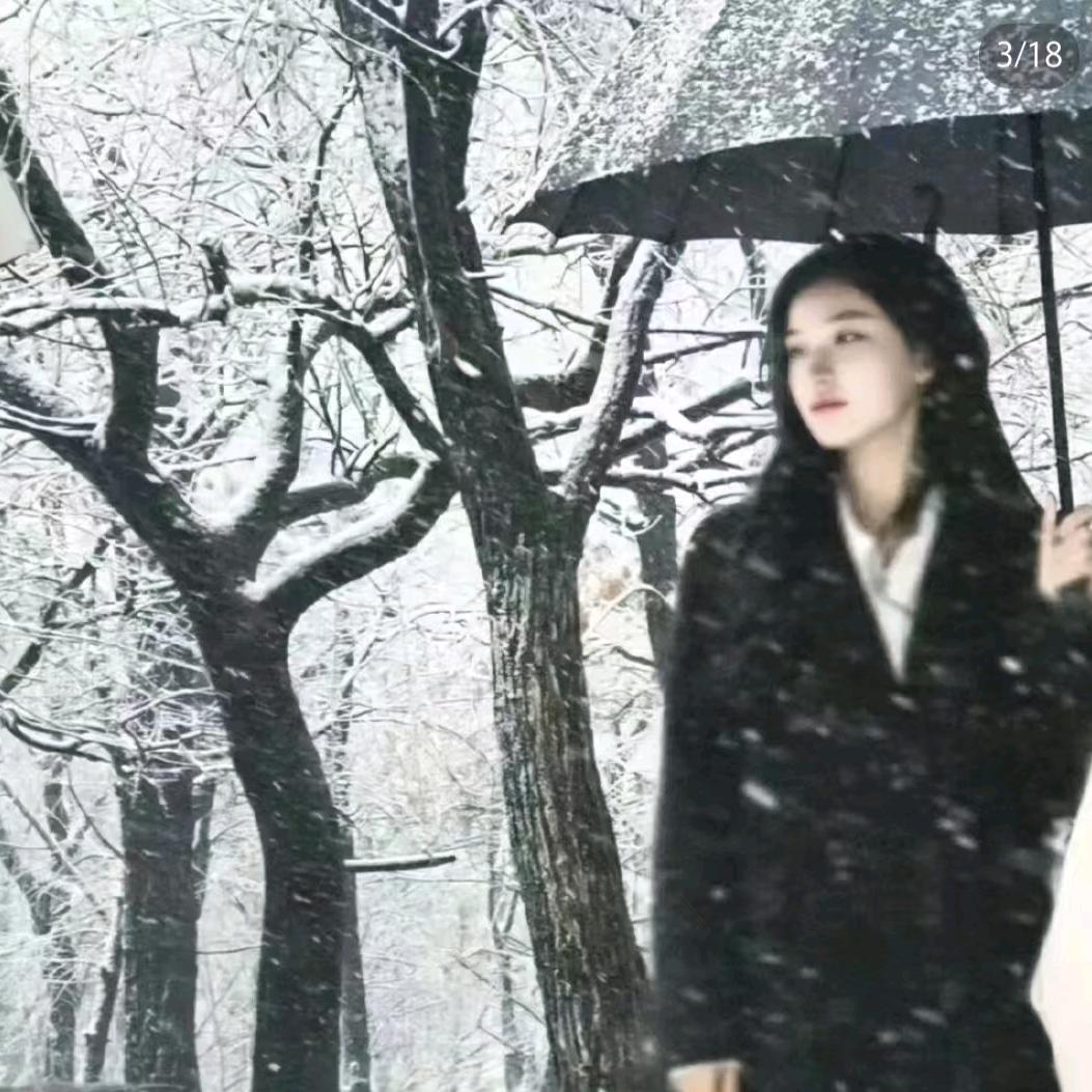 我就是最亮的仔