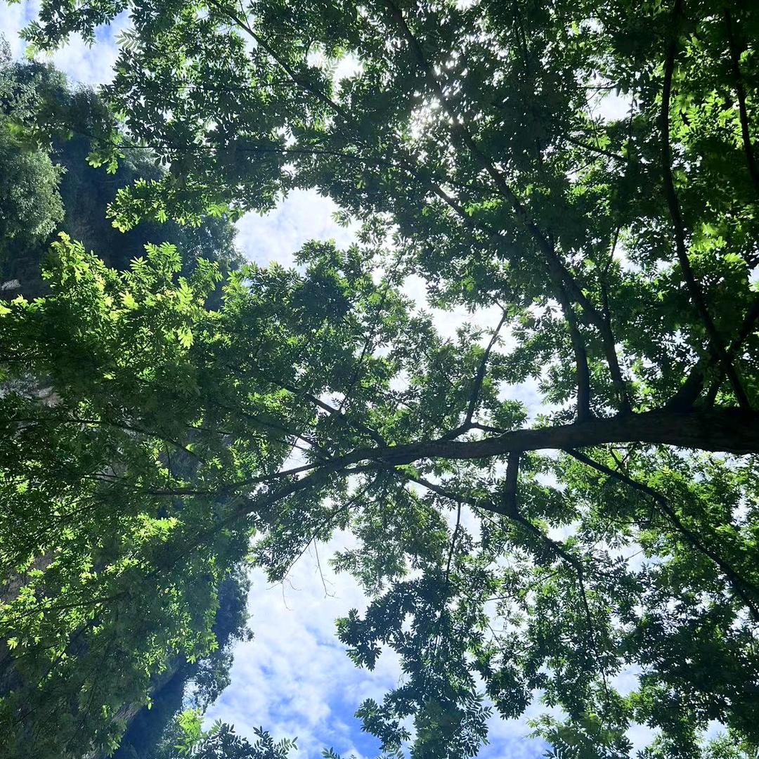 凉城北岸