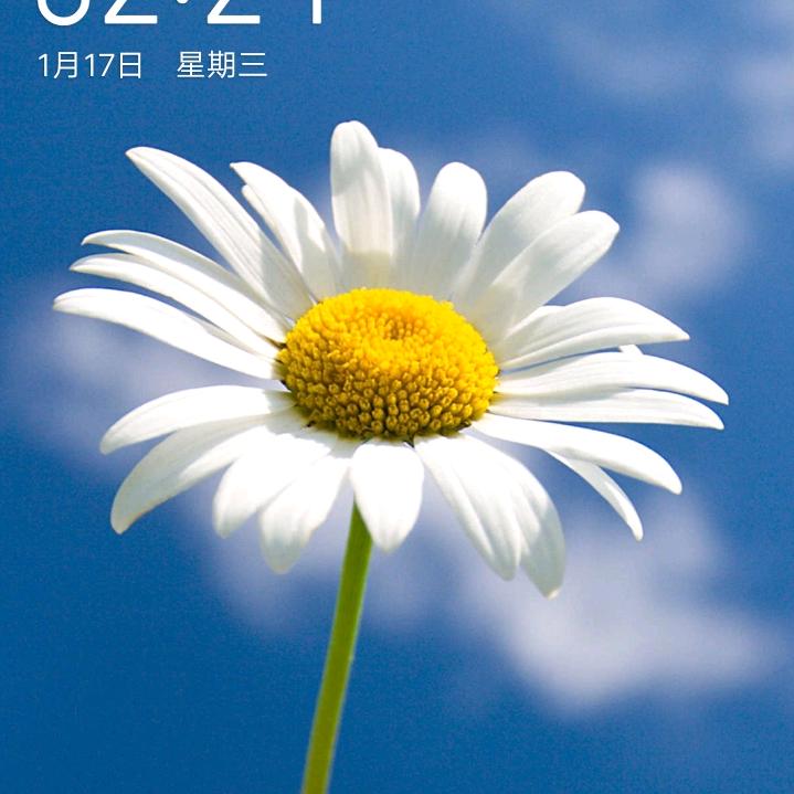 张