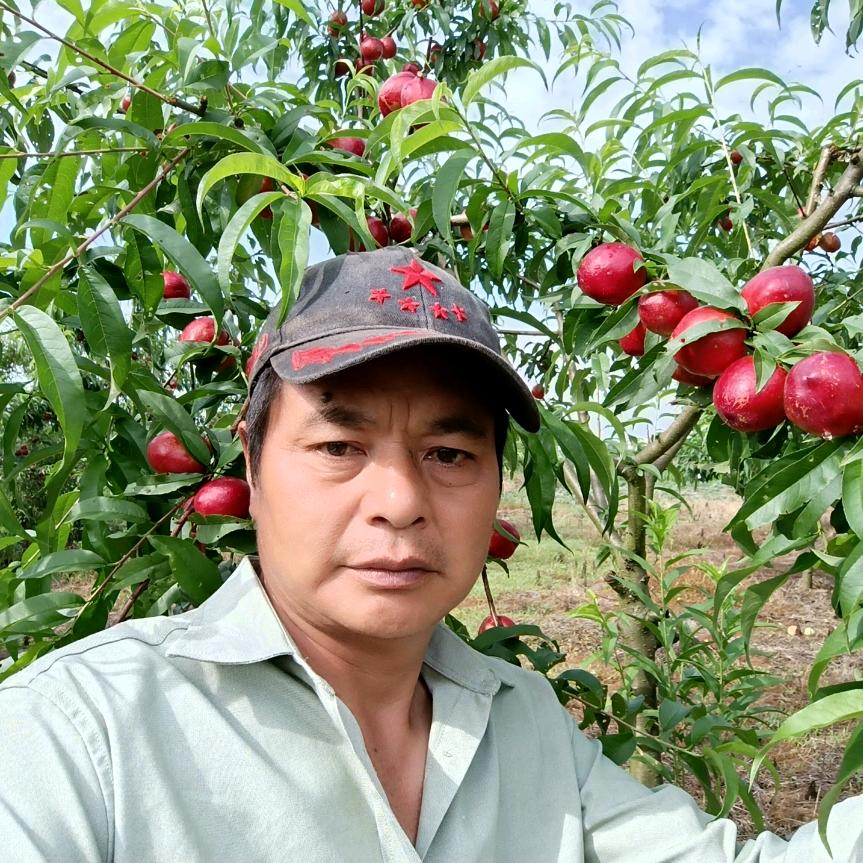 乡村闲人（酒席帐篷出租