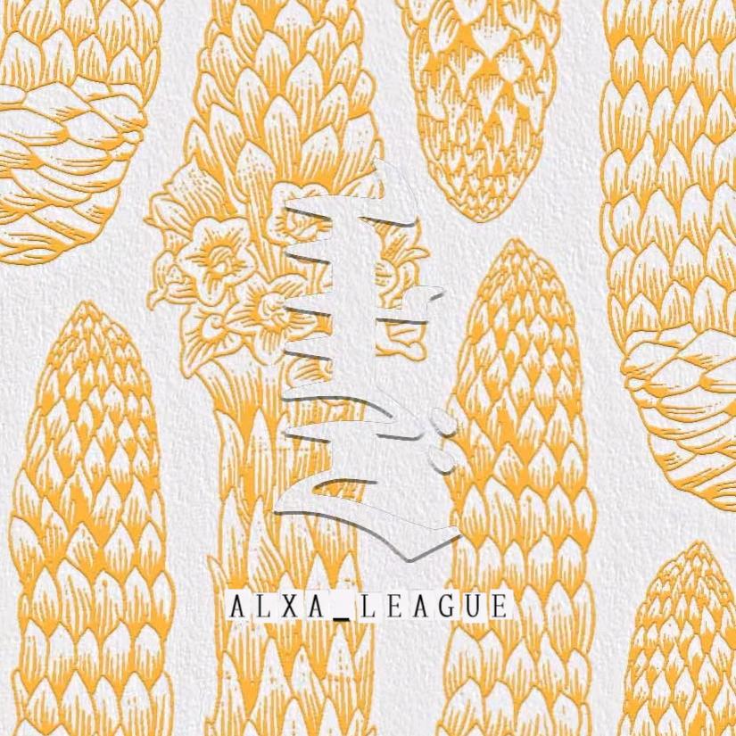 于老板ALXA_LEAGUE