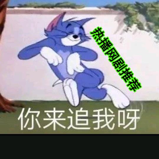 热播网剧推荐