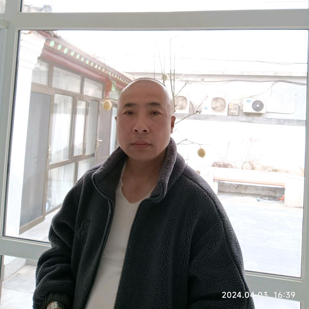 北极阳光
