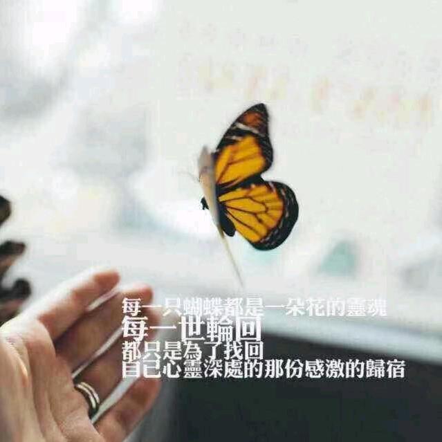 幸福如风《长期承接酒席》