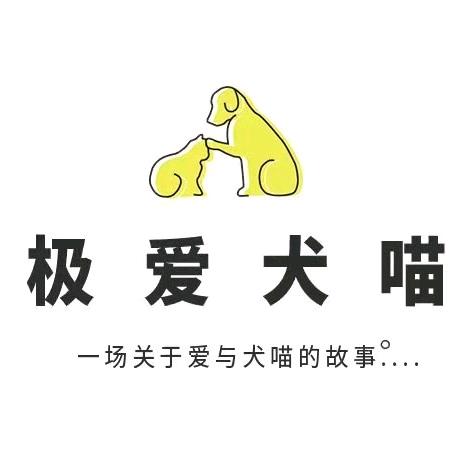 极爱犬喵&神奇小动物