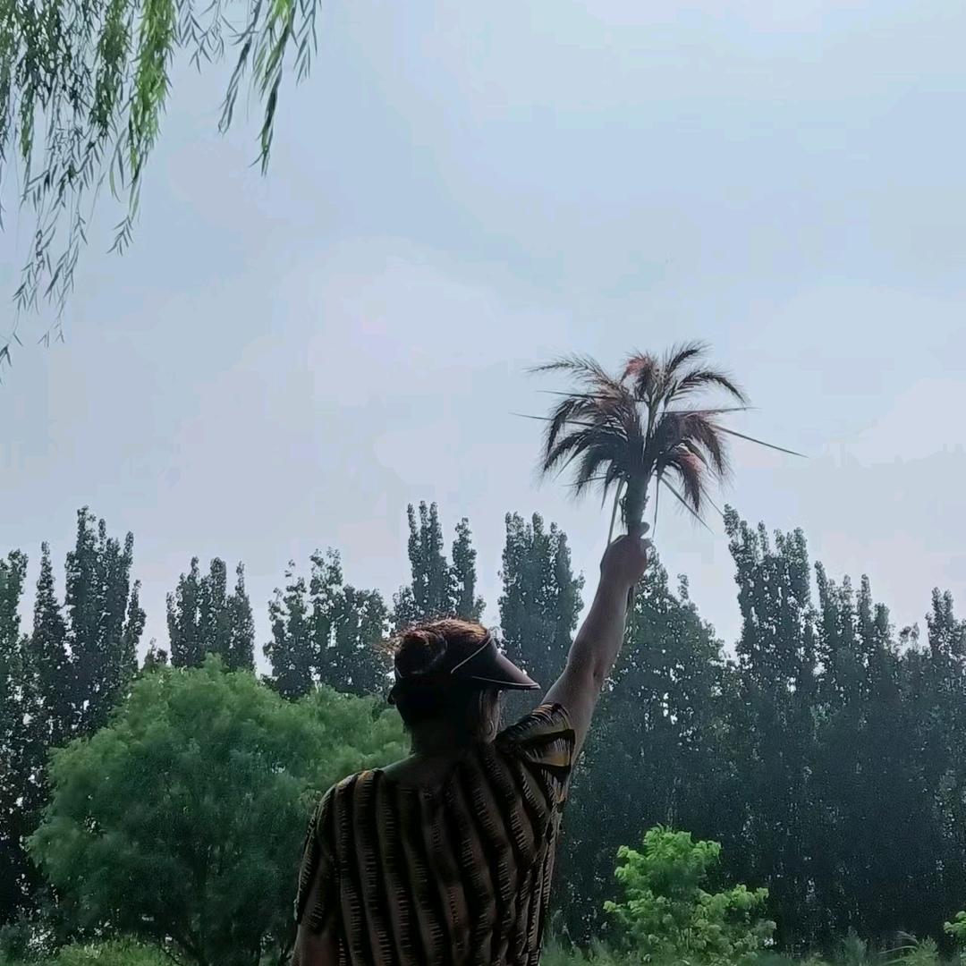 笑对时光。