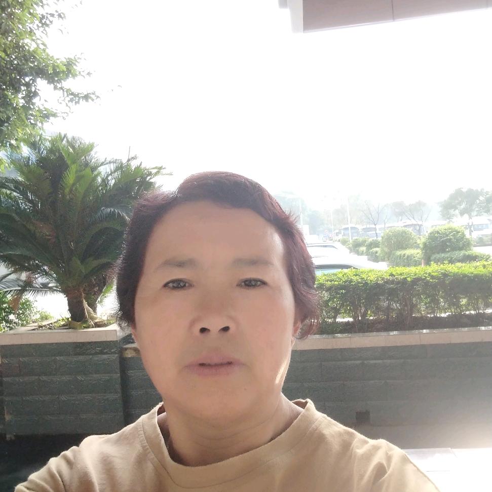 杨杨团购