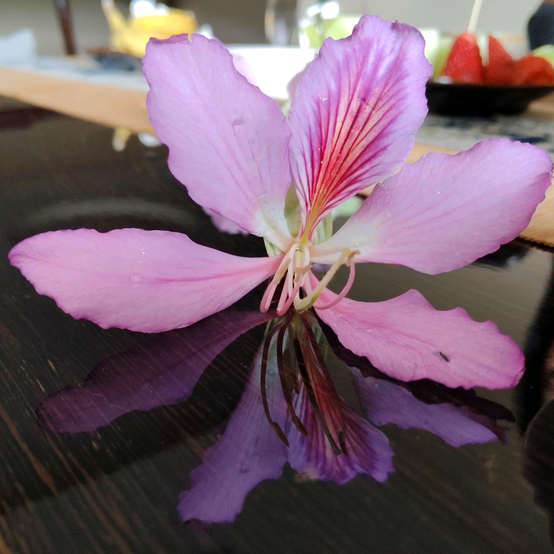 熊菲菲