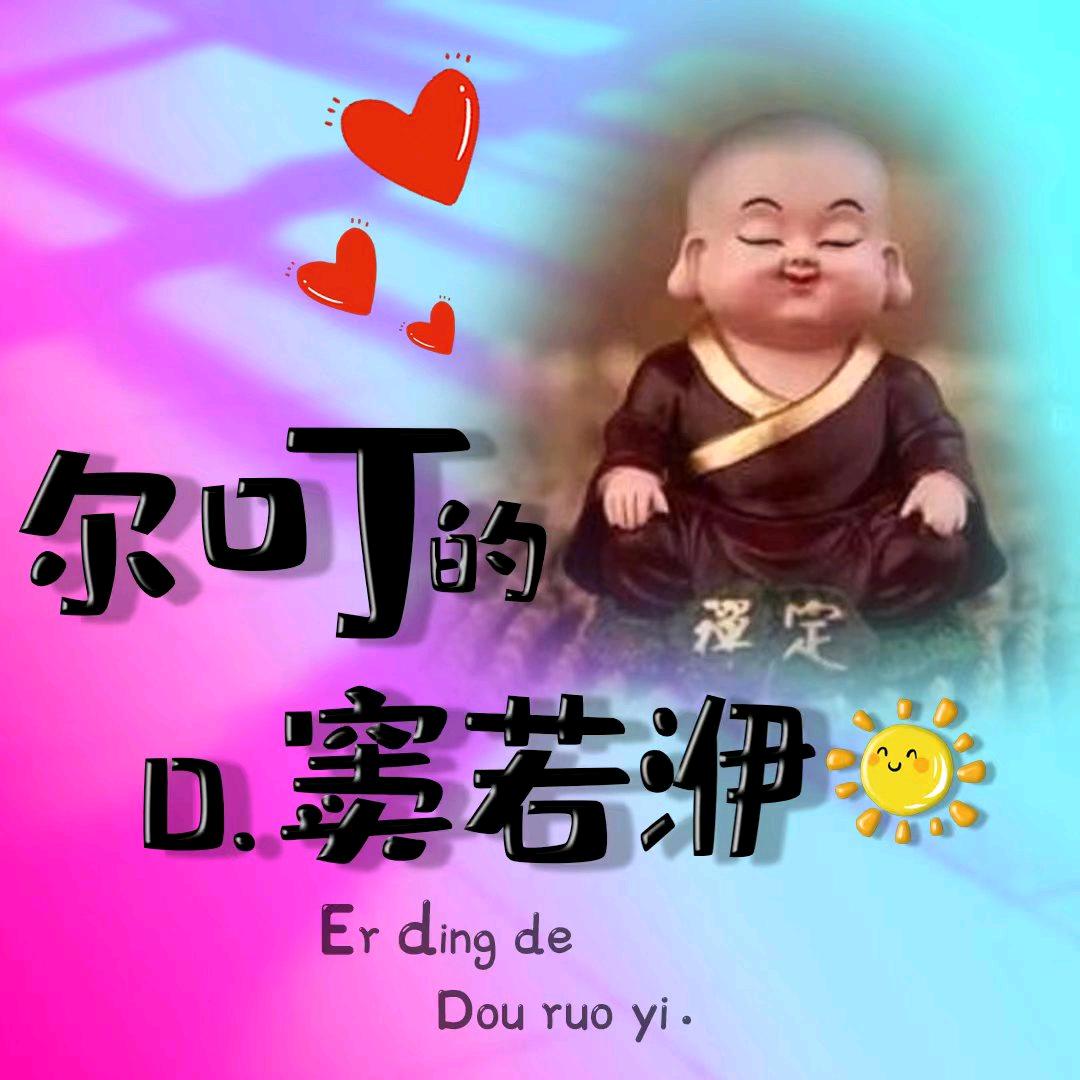 尔叮的洢洢～12号