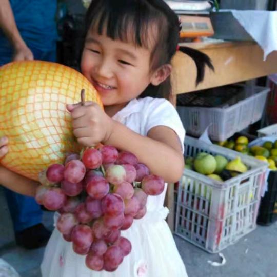 乌鸡绿壳蛋，野鸡蛋散养，