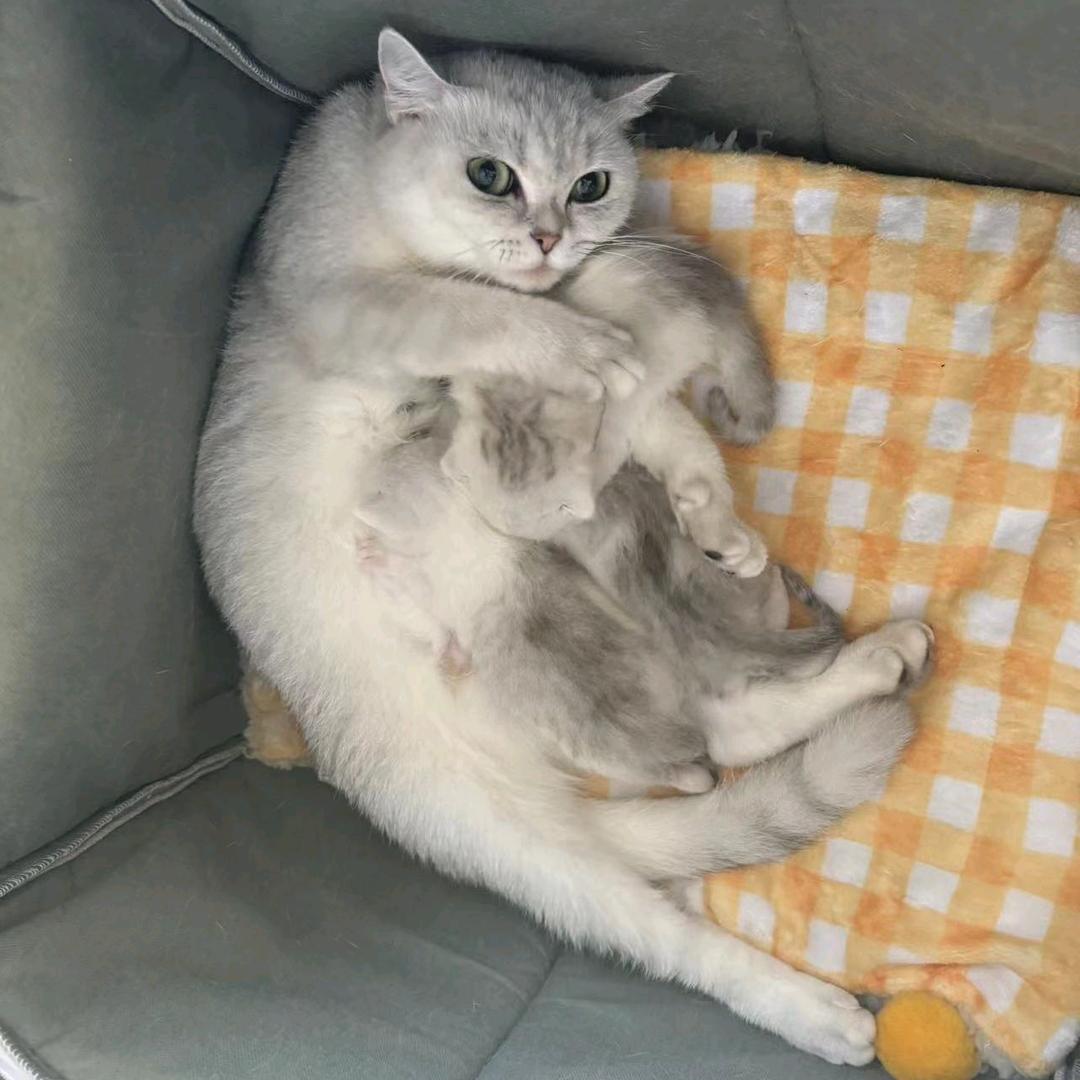 干饭人