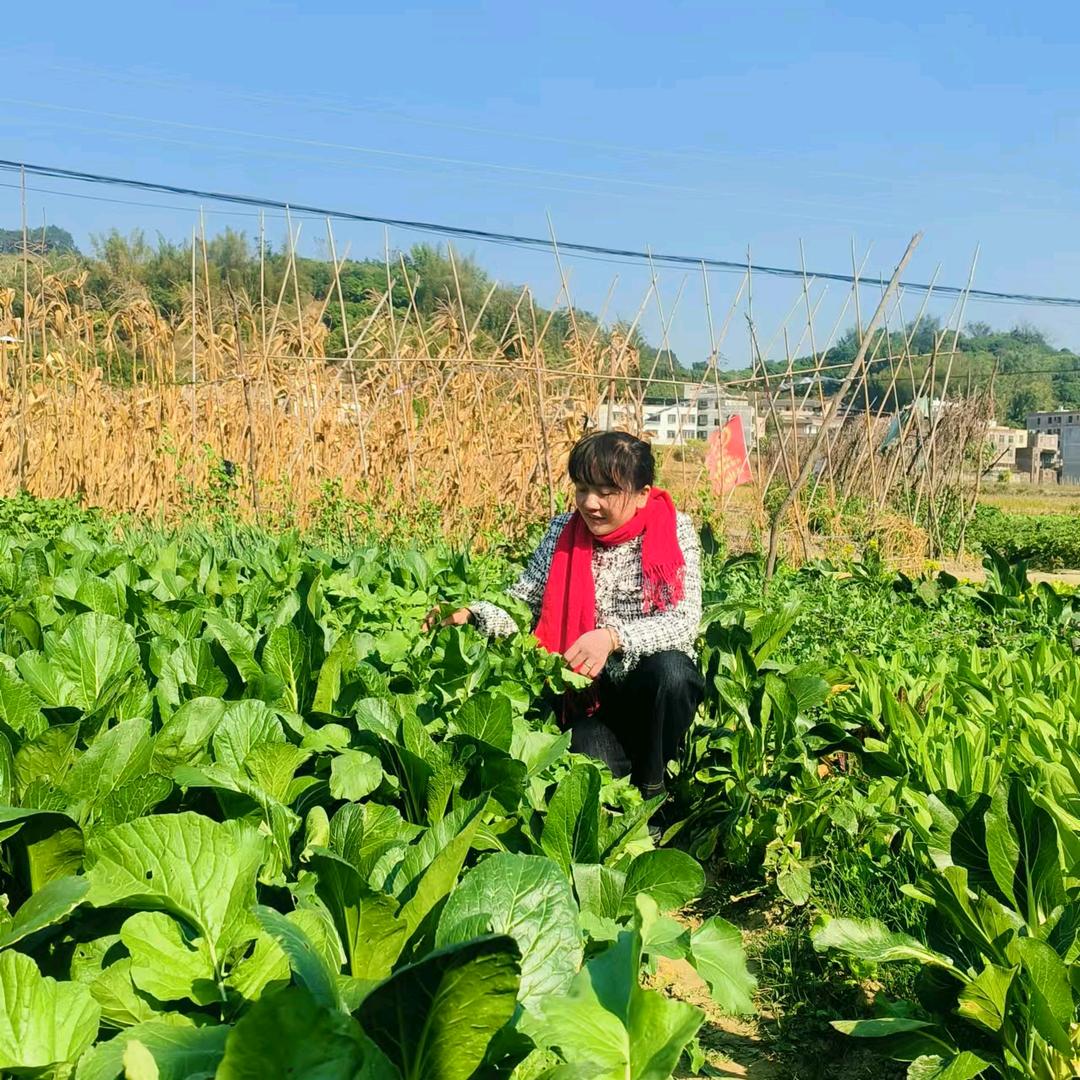 有🍀一种温柔ゞ独家专属