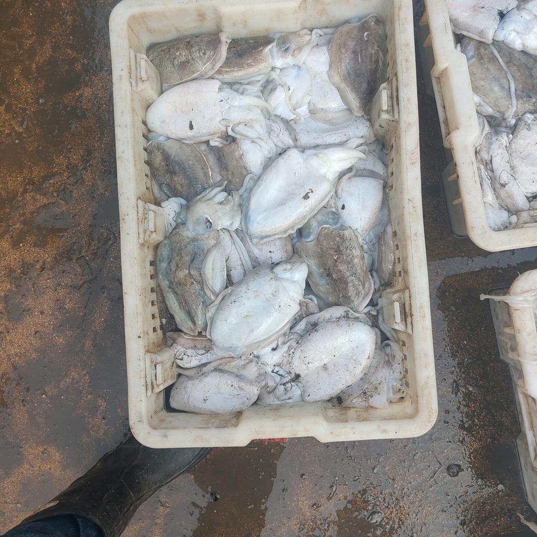 年年有鱼海鲜店