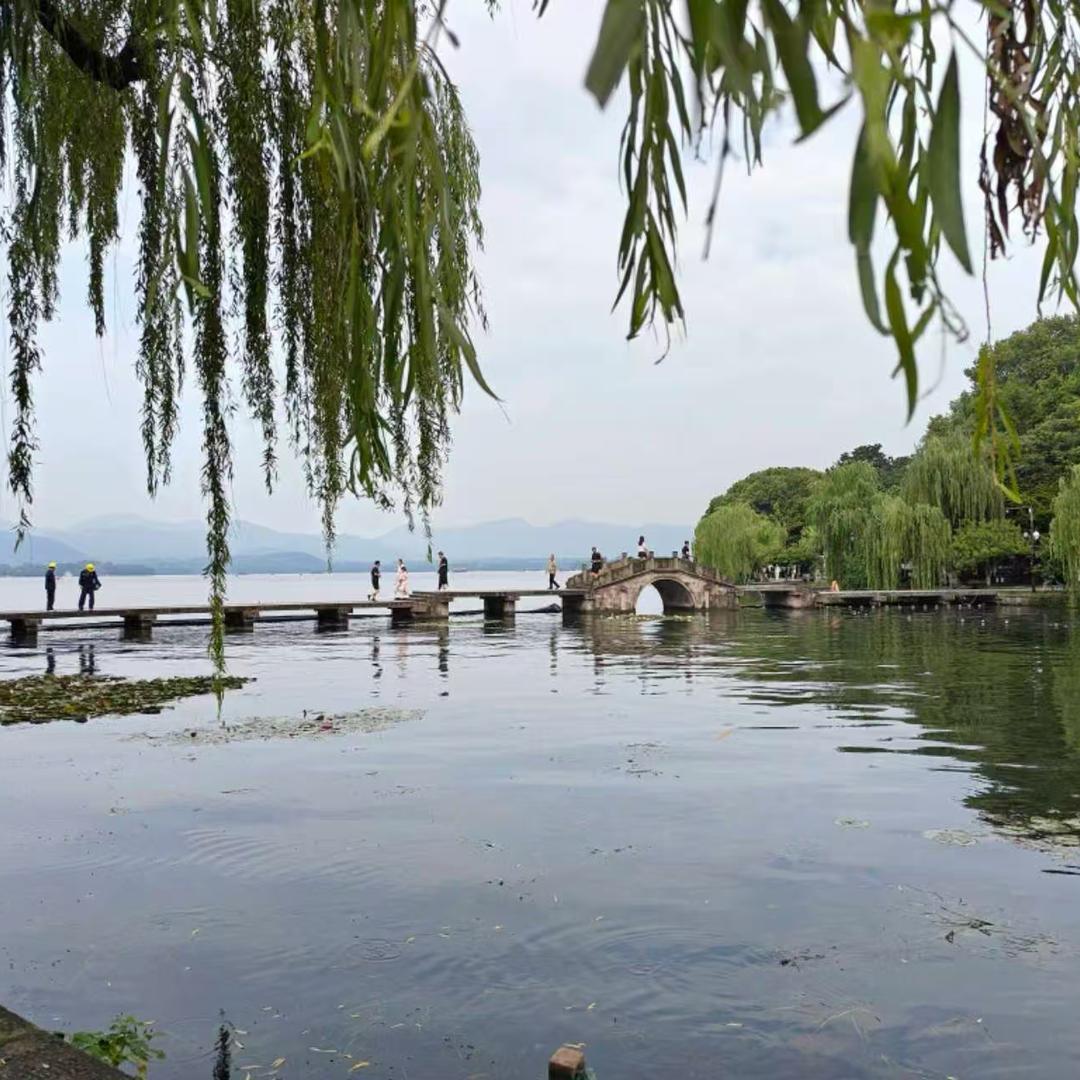 情🌿愫