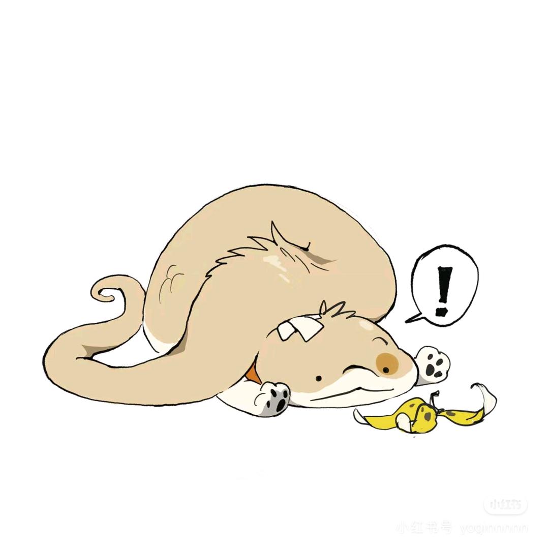 已读不回今晚无敌美丽大蟑螂睡你床头