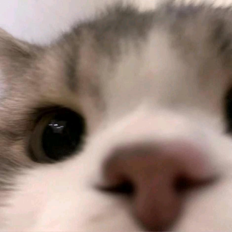 V-V