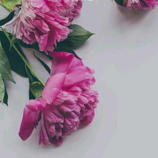 爱你2