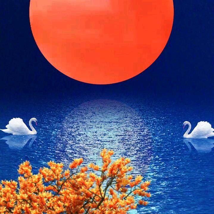 @洪哥
