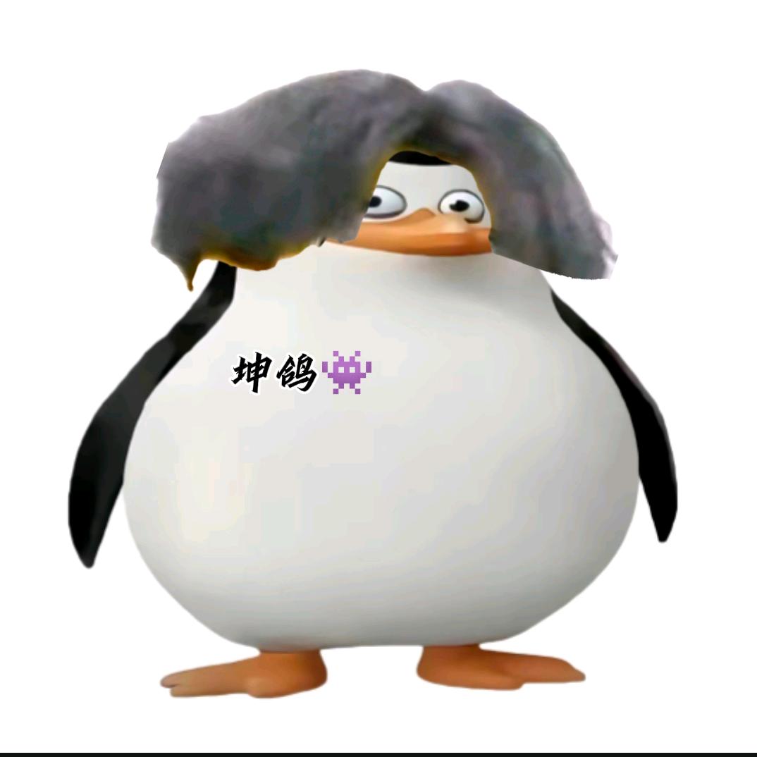 坤鸽👾（集结拍片尸）