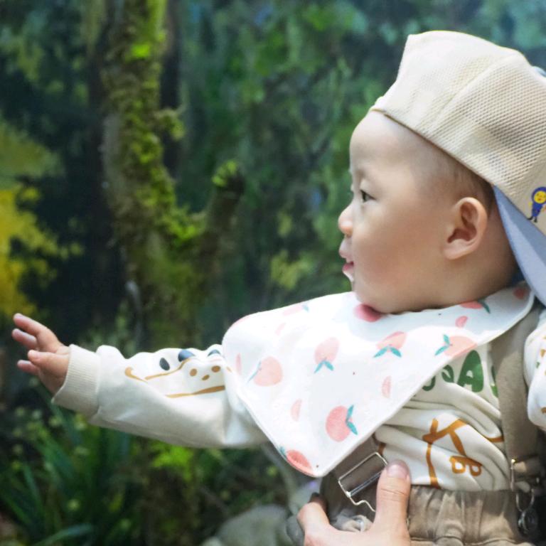 🍏🥭🍅🍋燕麦片🍒🍉